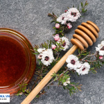 Mật ong manuka là gì, công dụng và cách dùng như thế nào?