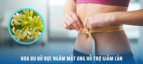 tác dụng của hoa đu đủ đực ngâm mật ong