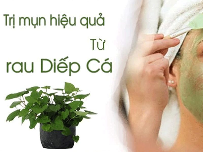 mặt nạ diếp cá 