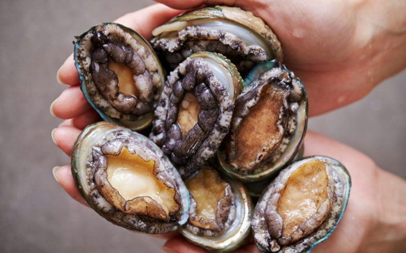 Bào ngư làm món gì ngon? Gợi ý 5 món ngon từ bào ngư và cách chế biến bào ngư làm món gì ngon