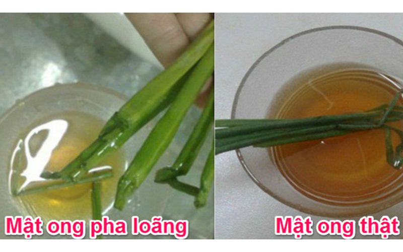 cách nhận biết mật ong thật và giả 