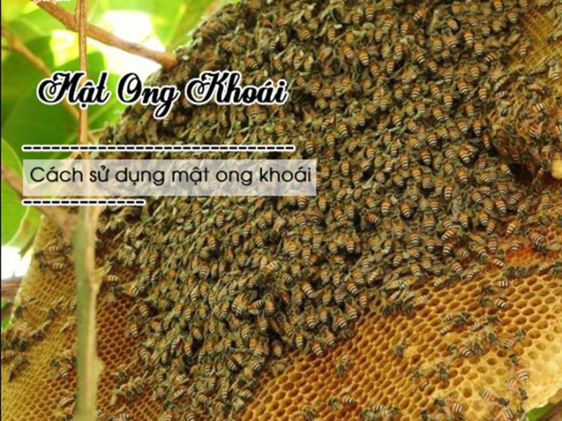 cách sử dụng mật ong khoái 