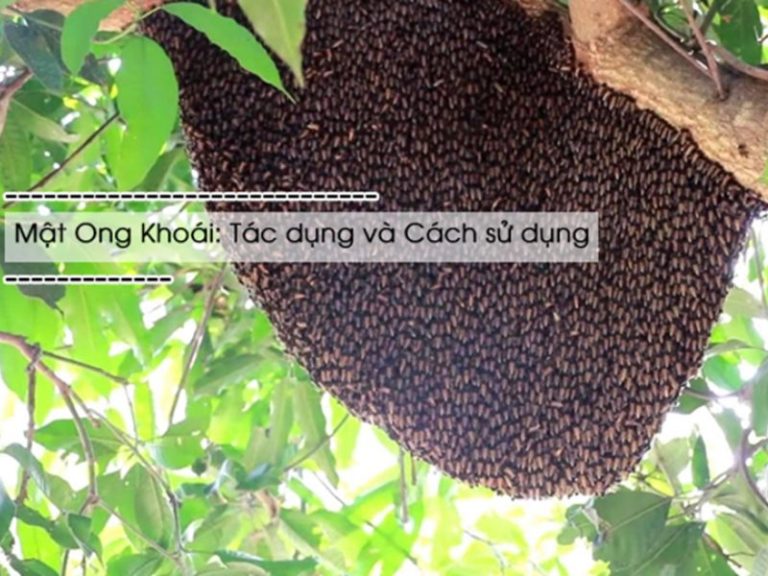cách sử dụng mật ong khoái