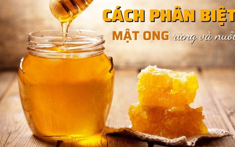 so sánh mật ong nuôi và mật ong rừng 