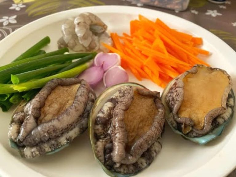 Tác dụng của bào ngư đối với phụ nữ: sắt, thai kỳ và lưu ý