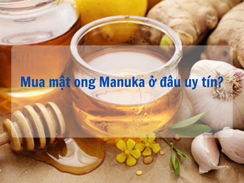 Mua mật ong Manuka ở đâu uy tín?