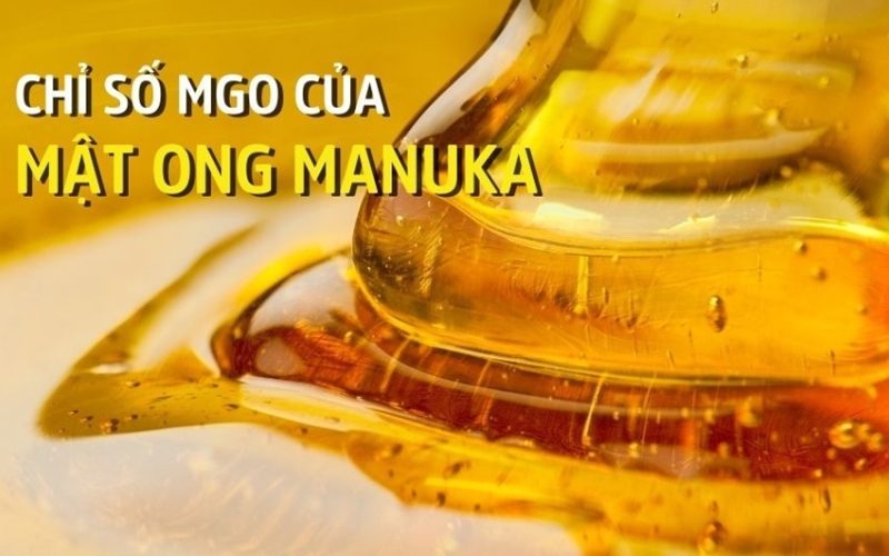 chỉ số MGO của mật ong Manuka là gì 