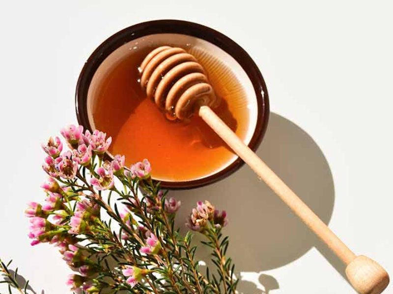 Cách nhận biết mật ong Manuka nhập khẩu chính hãng: Tránh mất tiền oan vì hàng giả Cách kiểm tra chỉ số UMF và MGO trên bao bì