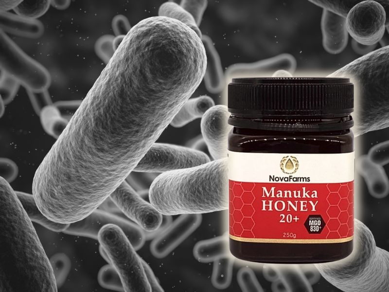Mật ong Manuka trị viêm loét dạ dày có hiệu quả thật không? Sự thật bạn cần biết trước khi mua Mật ong Manuka trị viêm loét dạ dày với cơ chế khoa học ra sao?