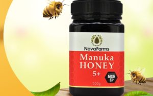 Mật ong Manuka UMF 15+ có tốt không