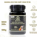Bật mí chỉ số mgo của mật ong manuka chọn đúng hàm lượng, đúng công dụng 