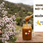 Manuka Trong Mật Ong Manuka Là Gì? Nguồn Gốc & Bí Ẩn