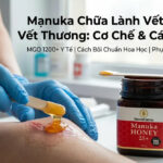 Mật Ong Manuka Chữa Lành Vết Thương: Cơ Chế & Cách Dùng