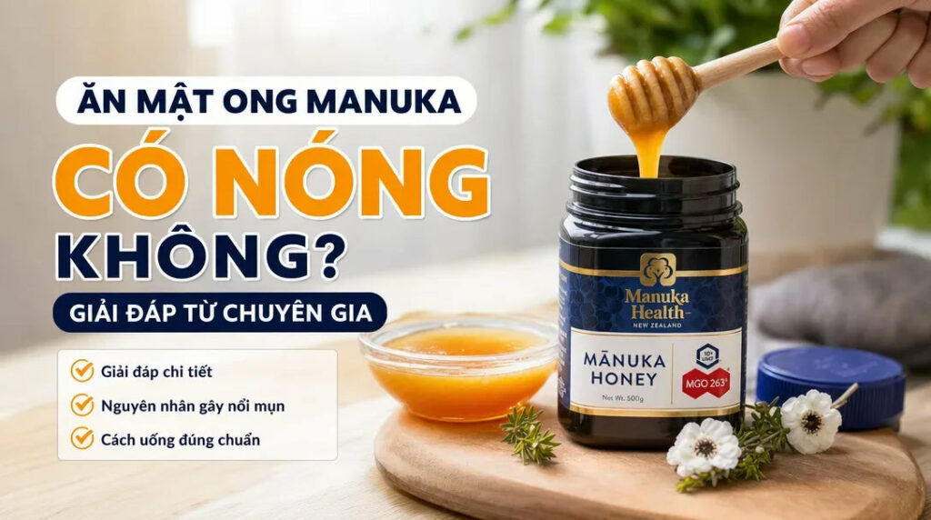 Ăn Mật Ong Manuka Có Nóng Không? Giải Đáp Từ Chuyên Gia Ăn Mật Ong Manuka Có Nóng Không? Giải Đáp Từ Chuyên Gia