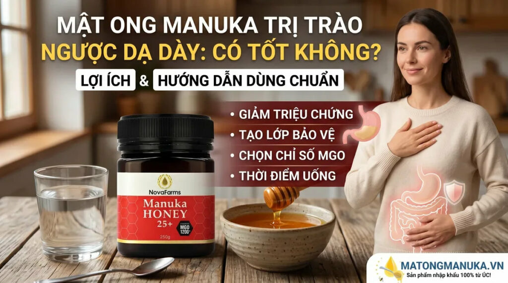 Mật Ong Manuka Trị Trào Ngược Dạ Dày Có Tốt Không? Mật Ong Manuka Trị Trào Ngược Dạ Dày Có Tốt Không?