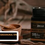 Mật ong Manuka khác gì mật ong thường? 6 khác biệt cần biết trước khi mua